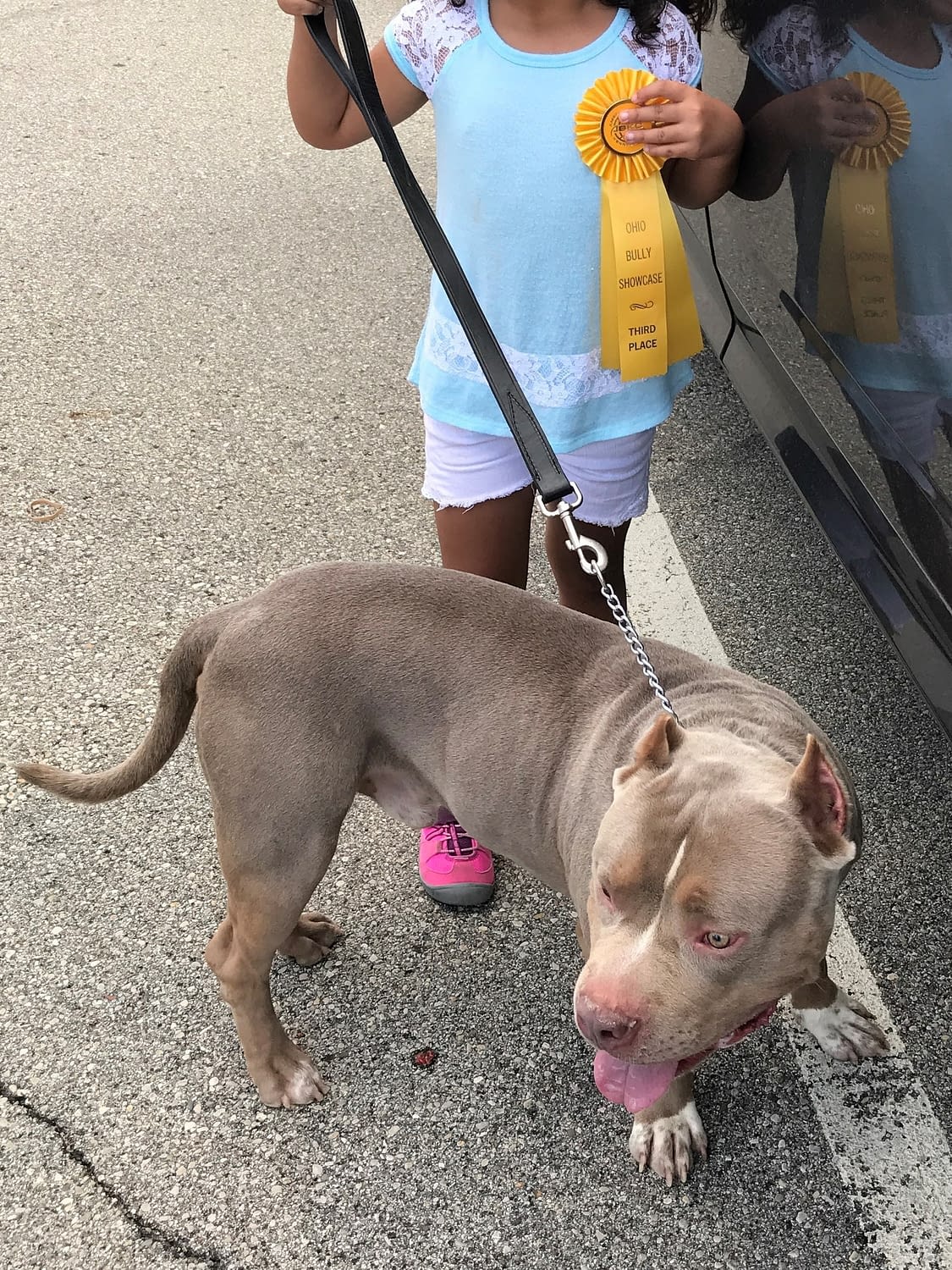 Oakley is going to be attending the Ohio American Bully Show