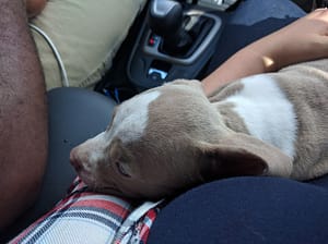 Taking Stella home from Georgia