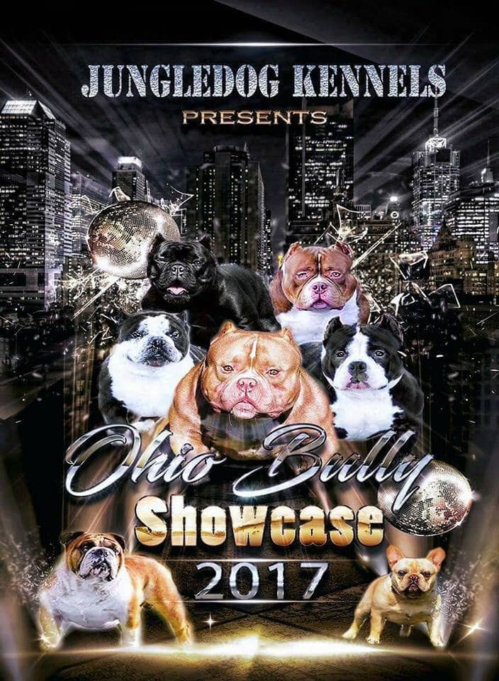 Ohio Bully Showcare 2017